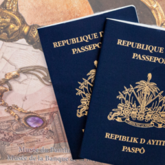 Dans la frénésie des passeports : chaos et indifférence